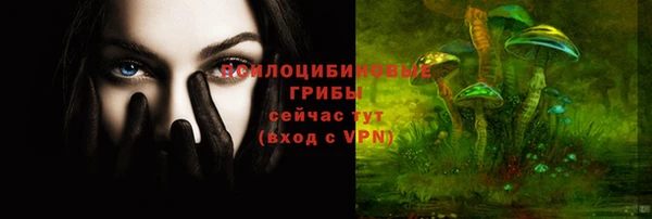 ГАЛЛЮЦИНОГЕННЫЕ ГРИБЫ Алексин