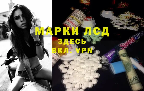 ГАЛЛЮЦИНОГЕННЫЕ ГРИБЫ Алексин