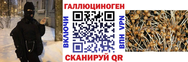 Псилоцибиновые грибы прущие грибы  Боровск 